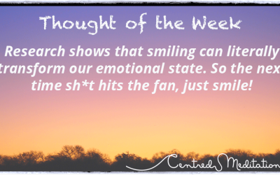 The Next Time Sh*t Hits the Fan, Just Smile