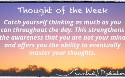 Can You Think About Thinking?