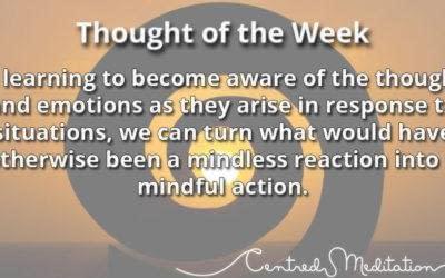 Mindfulness In Action